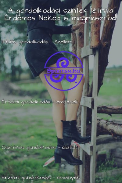 gondolati létra spiritan.gyapinet.dev