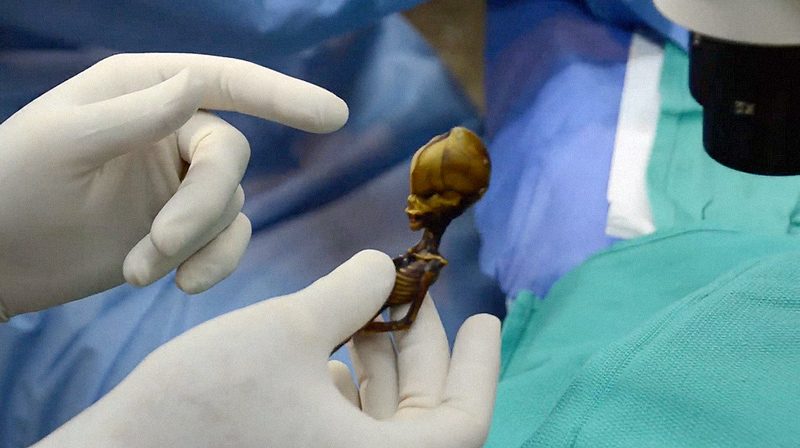 A hely után Atának elnevezett apró lény állítólagos földönkívüli származásáról dokumentumfilmet is forgattak.