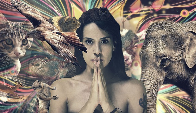  Európában megeszik a disznót és a tehenet, amelyek utálatos, sőt tiltott dolgok egy hithű muszlimnak, illetve egy hithű indiainak.