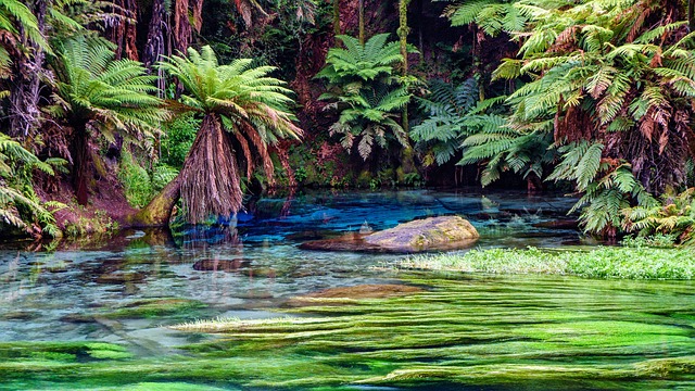 A Forrás-mantra szövege és alkalmazása