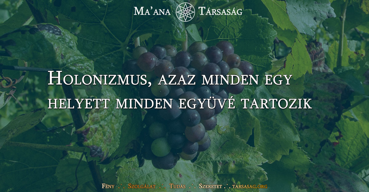 Holonizmus, azaz minden egy helyett minden együvé tartozik