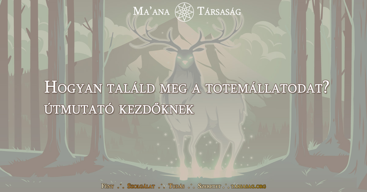 Hogyan találd meg a totemállatodat? Útmutató kezdőknek